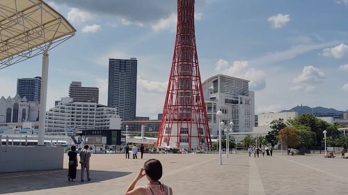 Kobe: 1-Day Guided Tour - Enjoy Kobe to the fullest Day Tours