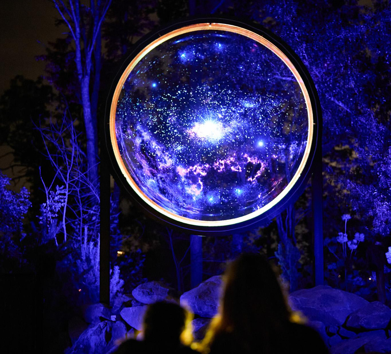 Astra Lumina Entry at Currumbin Wildlife Sanctuary