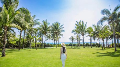 Taichung Travel Photography
