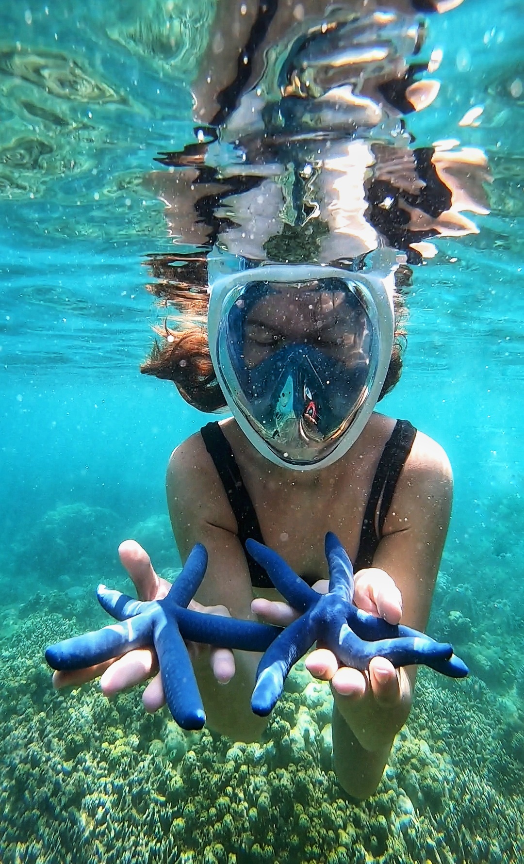Secrate Island Private Snorkling Tour in lombok with go pro