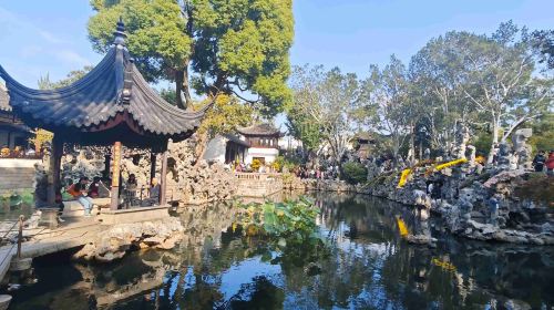 Lion Grove Garden(Shizilin Garden)