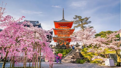 [Official Ticket] JR Hokuriku Area Pass 4-Day (e-ticket) Transport Passes
