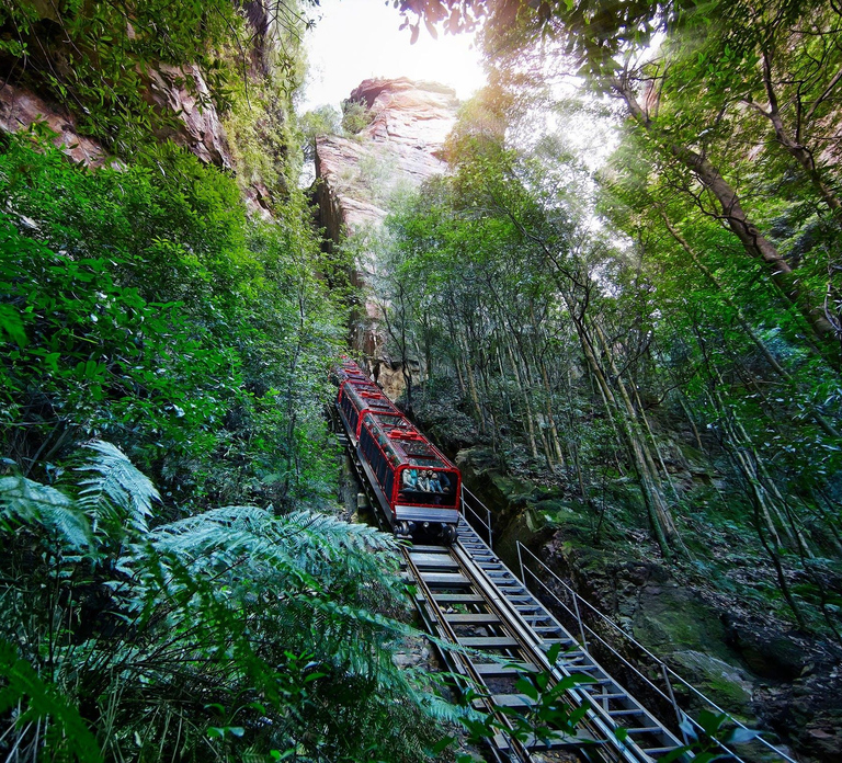 Sydney: Blue Mountains, Scenic World, and Sydney Zoo Tour