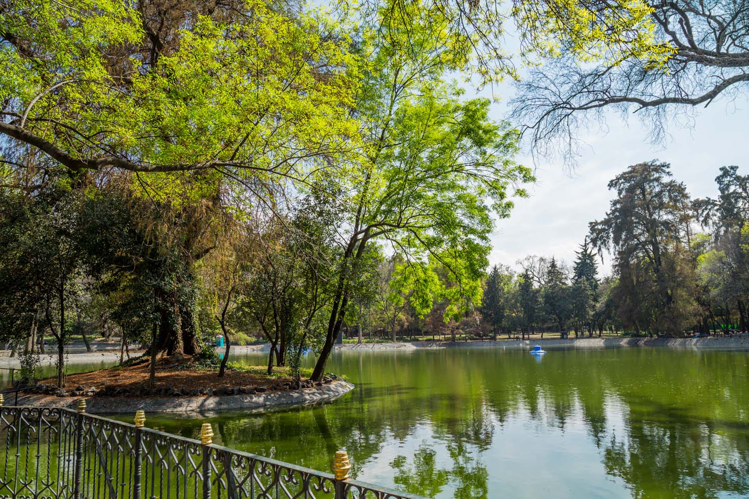 Private Tour to Chapultepec Park by Bike