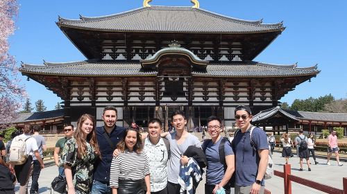 Nara 6hr Private Tour with Government-Licensed Guide Day Tours