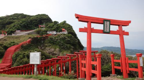 1-day tour to Motonosumi Shrine + Tsunoshima Bridge in Kitakyushu, featuring one of Japan's Three Great Caves