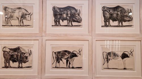 Museo Casa Natal Picasso