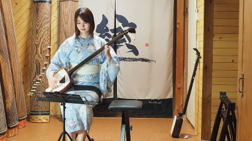 Concerts Played with Traditional Instruments in Kyoto Day Tours