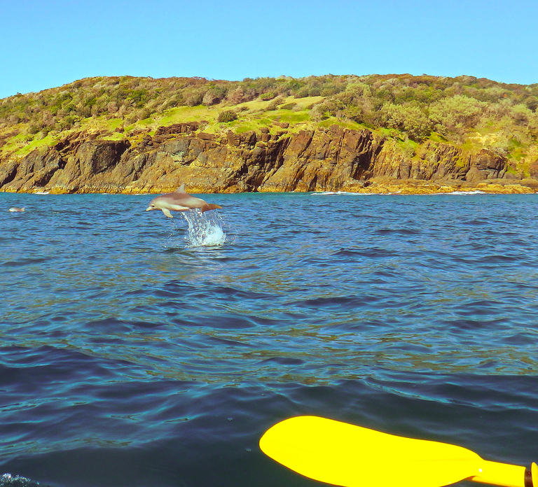 Rainbow Beach: Kayaking with Dolphins and Beach 4WD Tour