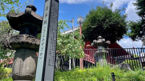 Tokyo Ueno Ukiyo-e Historical Tour + Tokyo National Museum Day Tours