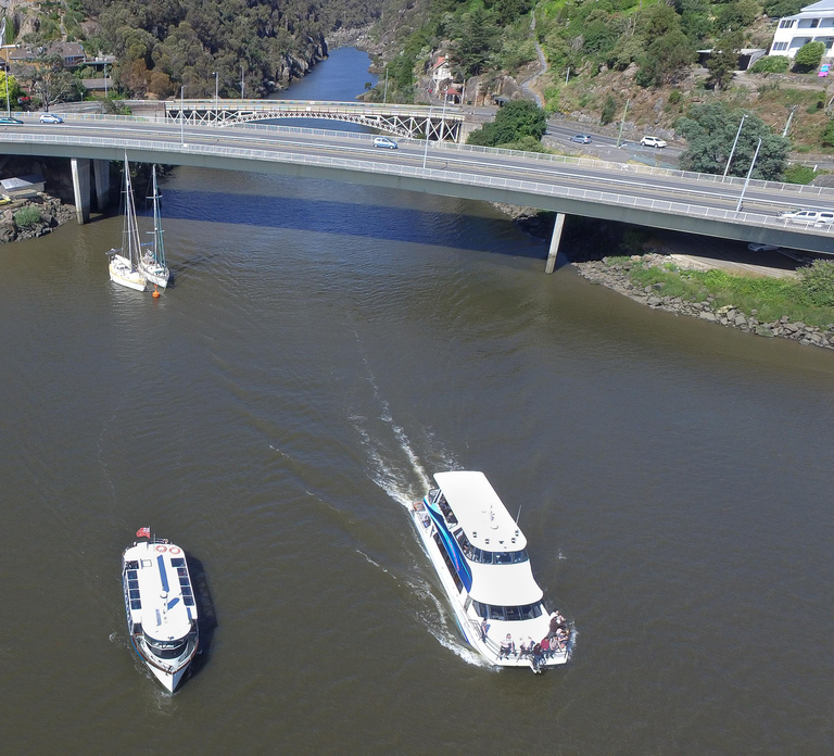 Launceston: 50-Minute Cataract Gorge Cruise