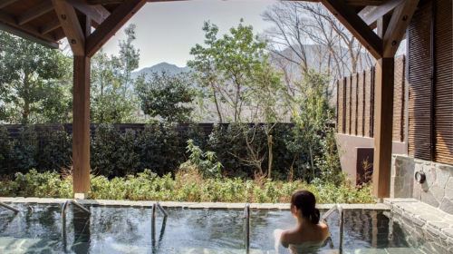 Sagamiko Resort Pleasure Forest