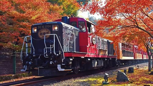 Kyoto: Sagano Romantic Train and Hozugawa River Cruise Day Tours