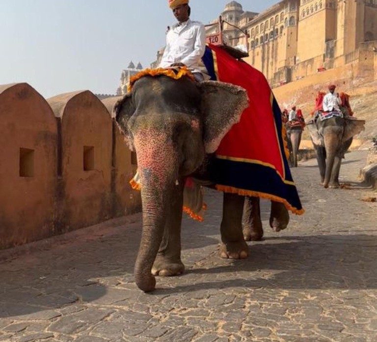 From Delhi: Private 4-Day Golden Triangle Luxury Tour