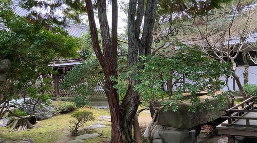 Nara: Essential Private Tour with Deer Park and Temples Day Tours