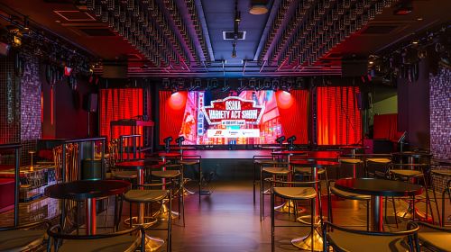 Neo-Japanese Show "OVAS" Osaka High-Energy Night Show (English MC) Day Tours