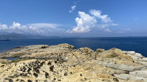 Taipei Bitou Cape Park + Zhengbin Fishing Port + Heping Island Geopark + Keelung Miaokou Night Market one-day tour