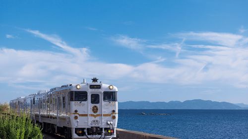 JR Pass all Japan 7/14/21-day rail pass [free global EMS shipping - shipped from Taiwan] Transport Passes