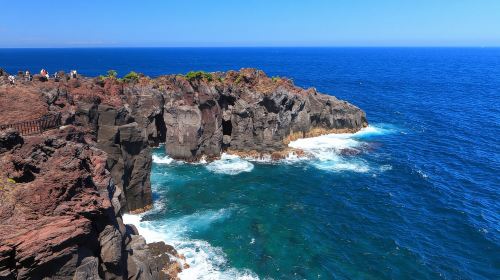 Izu Omuroyama Day Tour from Tokyo: Mt. Omuro, Shaboten Zoo & Jogasaki Coast