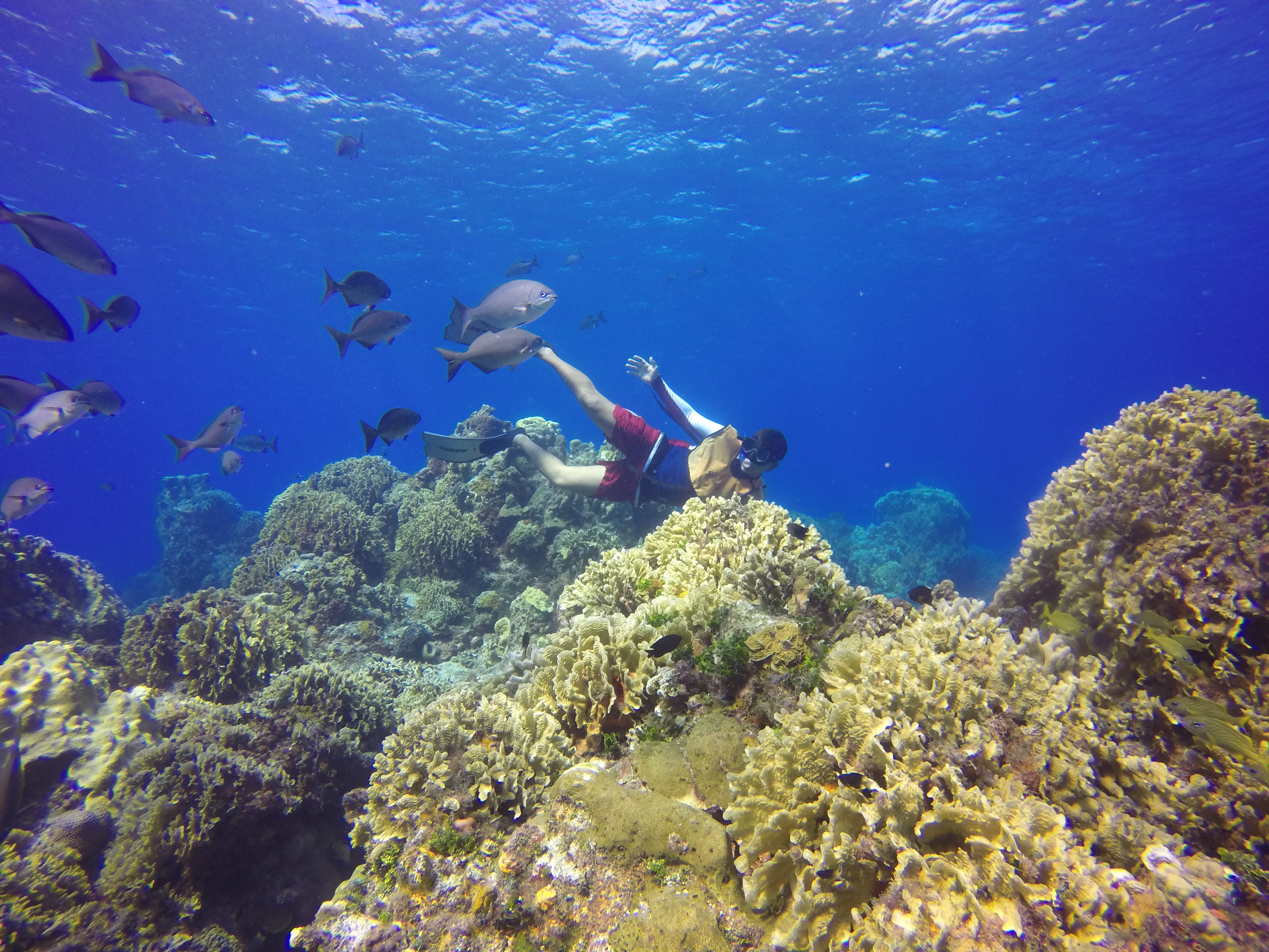Cozumel Catamaran & Snorkel Tour