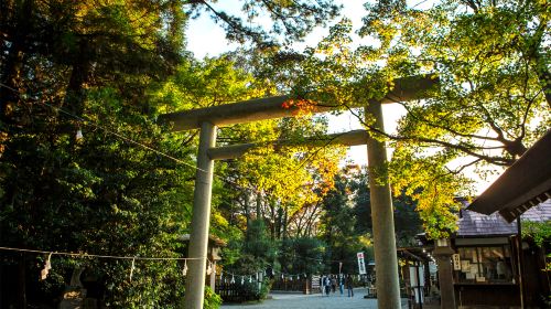 Kyushu Miyazaki – Kamishikimi Kumanoimasu Shrine, Amanoiwato Shrine Nishi Hongu