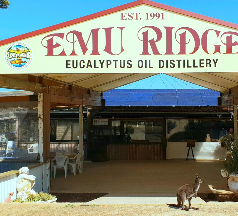 Kangaroo Island: Half-Day Tour Guided Coach Tour