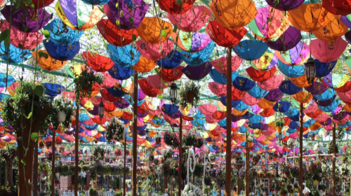 Miracle Garden Admission Tickets Day Tours