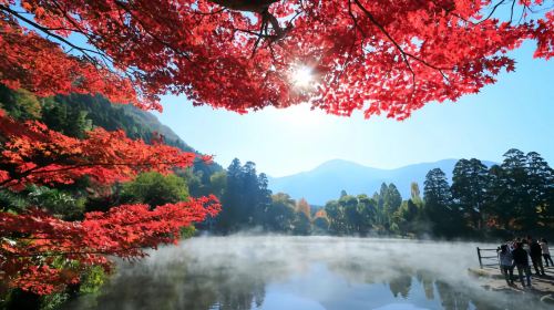 Oita Dazaifu-tenmangu Shrine + Yufuin Area + KYUSHU RAILWAY COMPANY 1-day tour
