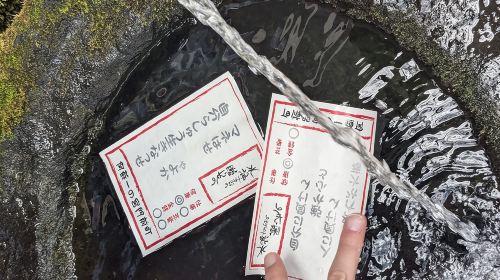 Private guided tour: Mt. Aso volcano, grasslands, Aso Shrine Day Tours