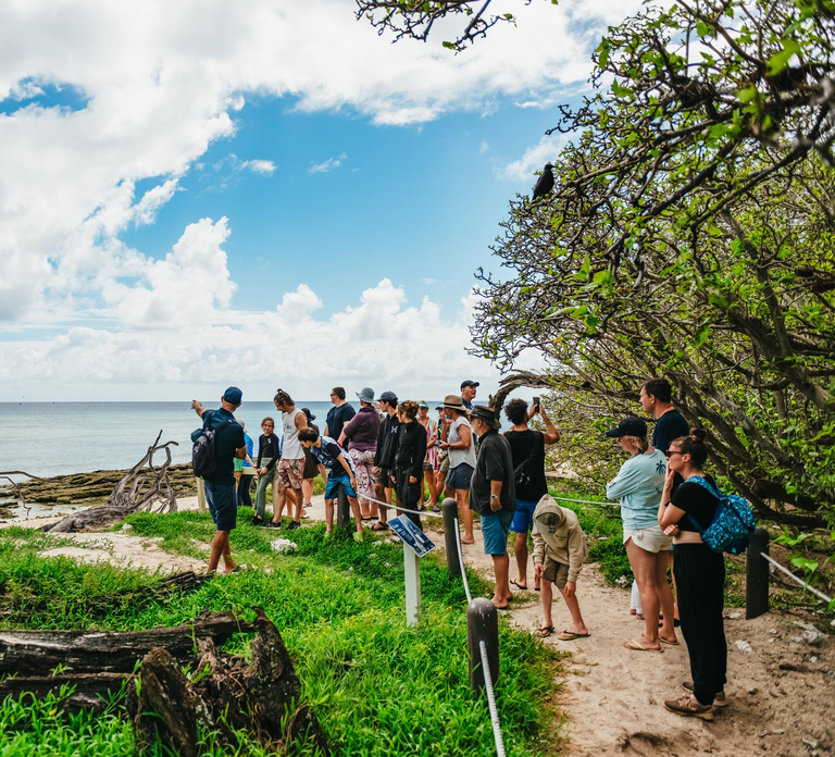 Bundaberg: Lady Musgrave Island and Great Barrier Reef Tour