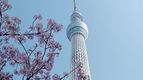Best of Tokyo Private Tour English Driver &Customizable Itinerary Day Tours