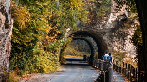 [Guaranteed Departure] Kyushu Autumn Special: Aonodomon Yabakei Gorge, Hitome Hakkei, Kokonoe Yume Bridge & Usa Shrine Day Tour from Fukuoka Day Tours