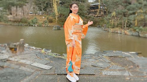 [Kyoto Kimono Rental mimosa Kodaiji Store] *Visiting Kimono Rental Service | Beautiful Attire for Special Occasions*