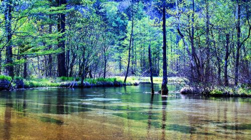 1-day tour to Kamikōchi from Nagoya (round-trip) - Kappa Bridge / Taisho Pond / Myojin Pond