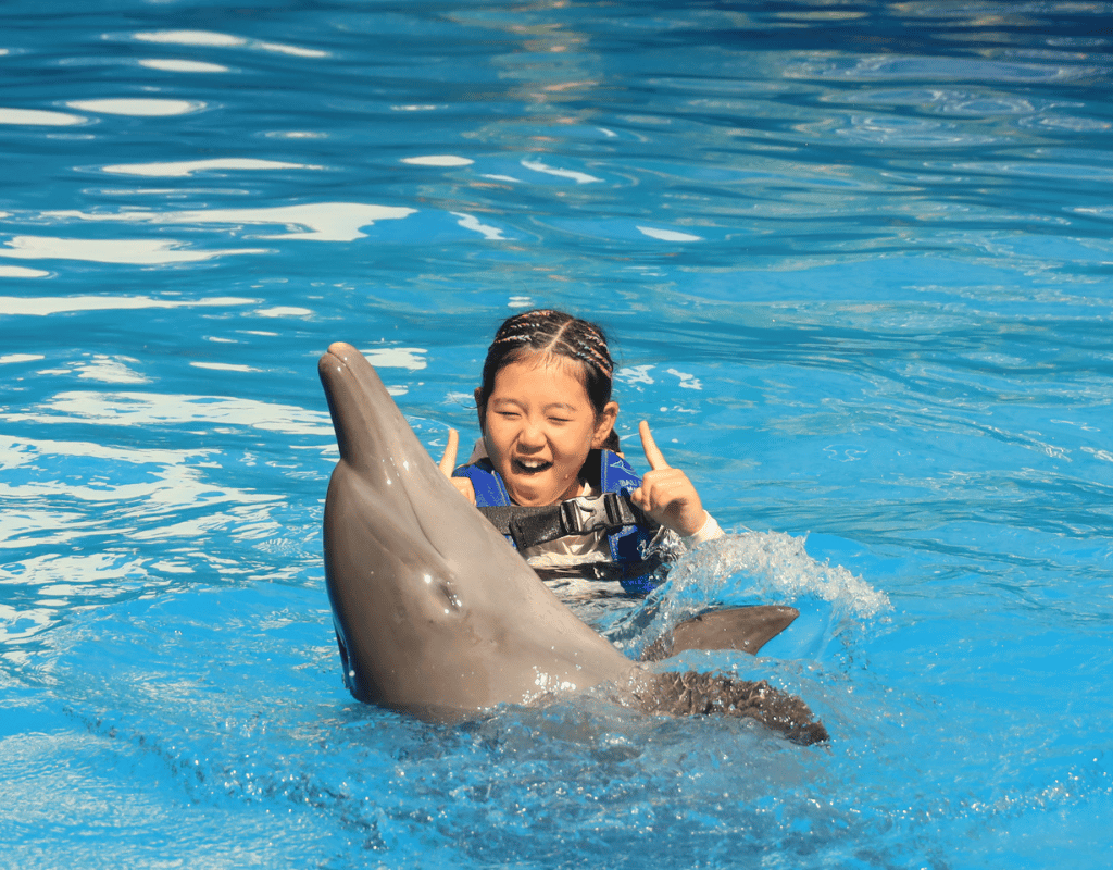 Bali Dolphin: Discovery Program "Swim with Dolphin"