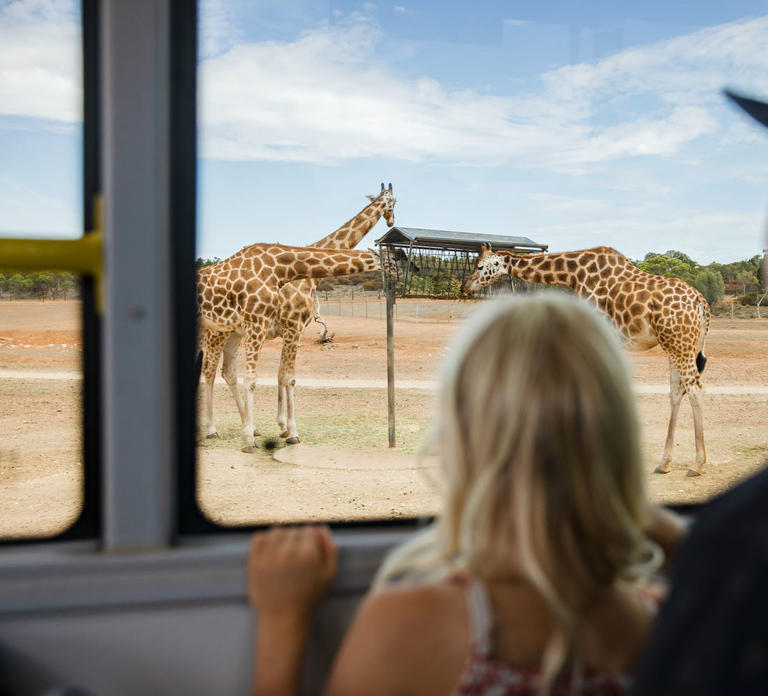 Monarto Safari Park: General Admission Tickets