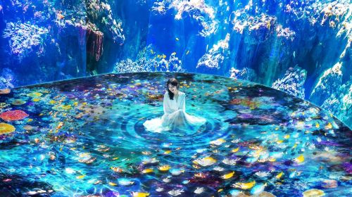Xpark Aquarium