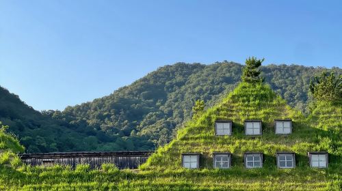 1-day tour to Lake Biwa, Shirahige Shrine and Omihachiman in Shiga, Japan