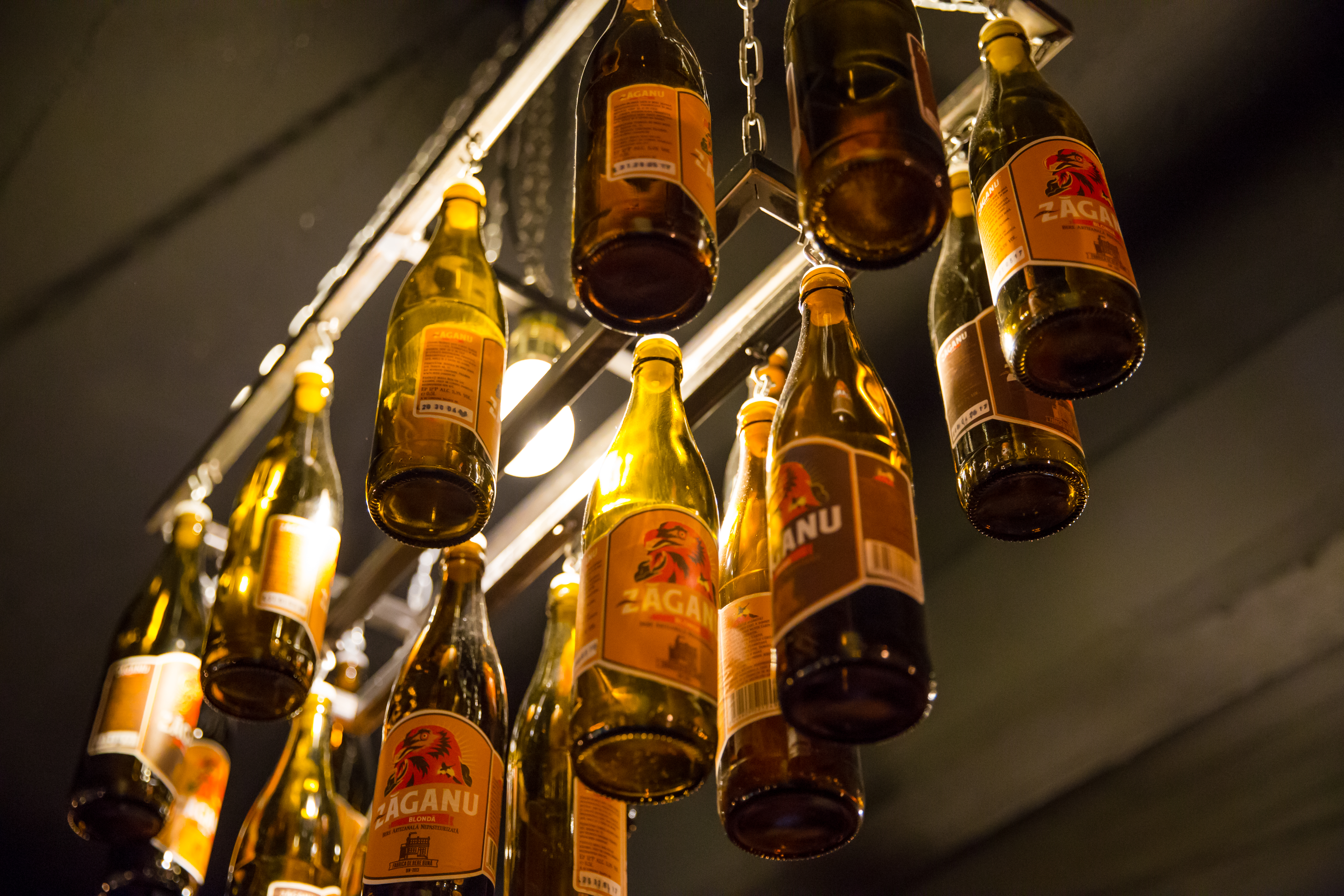 Private Bucharest Beer Tasting Experience