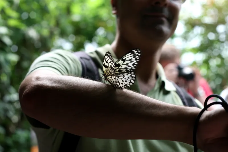 Tour Image 4