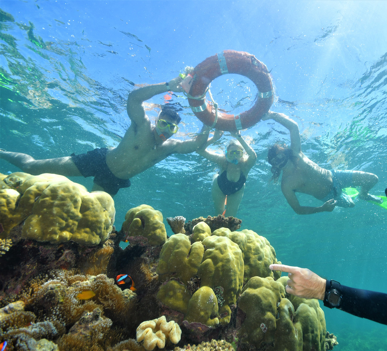 Cairns: Outer Great Barrier Reef Pontoon with Activities