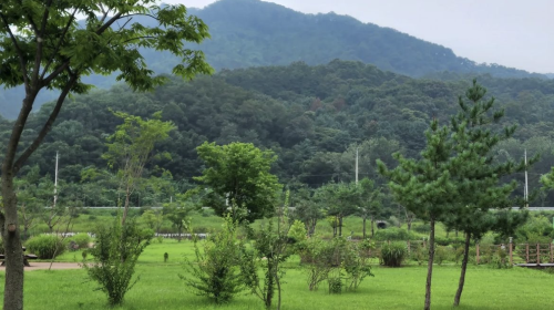 Pocheon 1-day tour: Sanjung Lake + Gukdonggeori Waterfall + Pocheon Herb Island