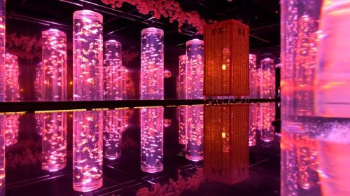 ART AQUARIUM MUSEUM