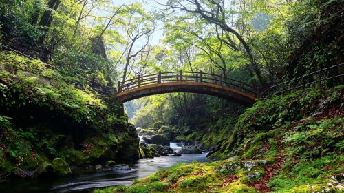 Fukuoka departure: Scenic Takachiho gorge + Amanoiwato shrine Nishi Hongu + Healing journey at Toiwa energy field