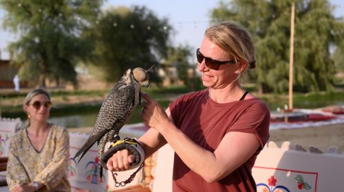 Dubai Desert Safari Camp