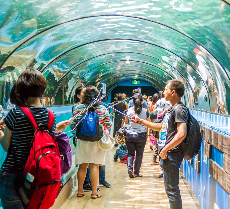 Sydney: Combo Pass for 2, 3, or 4 Top City Attractions
