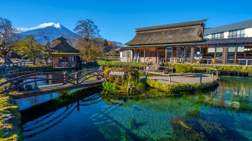 Japan Tokyo Mt. Fuji Lake Kawaguchi & Yamanakako & Lawson/Hikkawa one-day tour|Internet celebrity panoramic check-in Day Tours