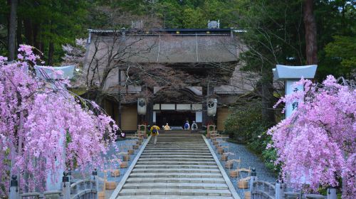 Koyasan