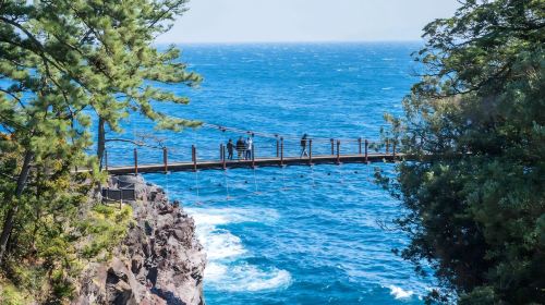 Izu Day Tour from Tokyo: Mount Omuro Ropeway & Shaboten Zoo with Ocean-View Train