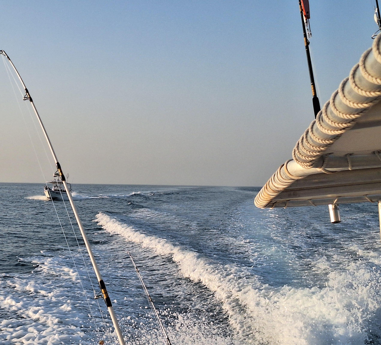 Ras Al Khaimah: Private 3-Hour Coastal Fishing Charter